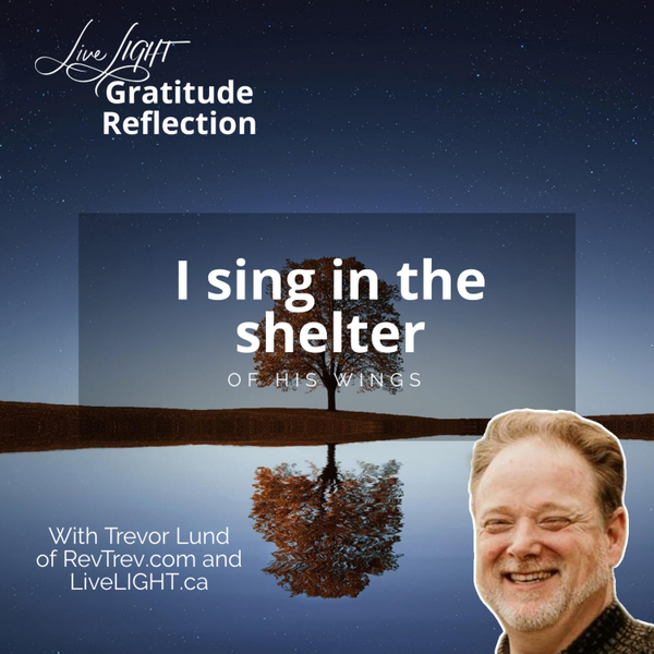 I sing in the shelter of His wings artwork