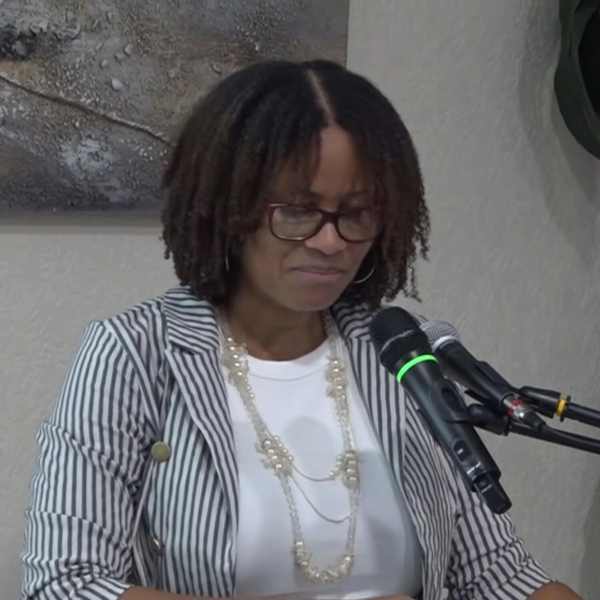 FAO’s FISH-ADAPT Project Mobilizes Stakeholders to Expand Access to Finance and Insurance for Saint Lucia’s Fisheries Sector  artwork