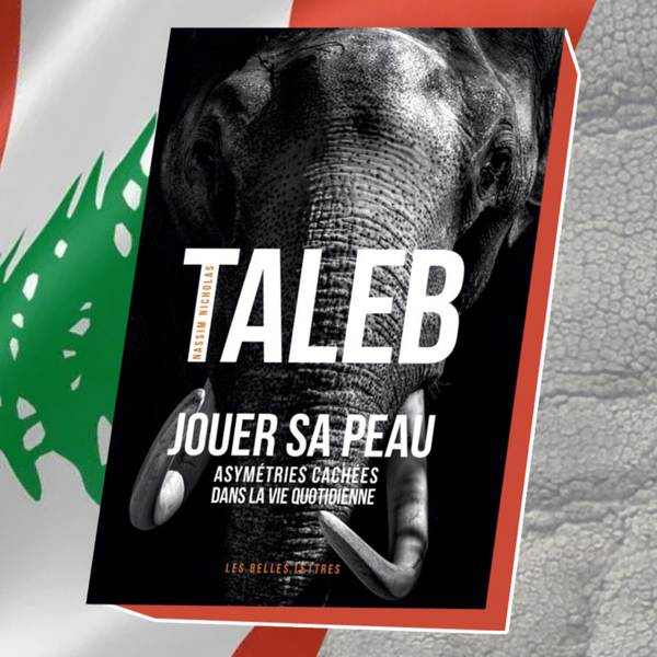 020 | Jouer sa peau (Skin in the Game) de Nassim Taleb artwork
