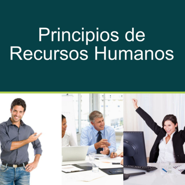 Principios de Recursos Humanos artwork