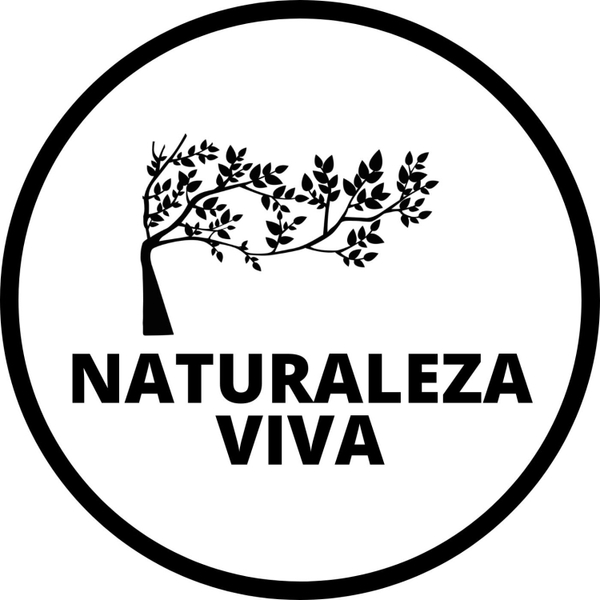 Naturaleza Viva artwork