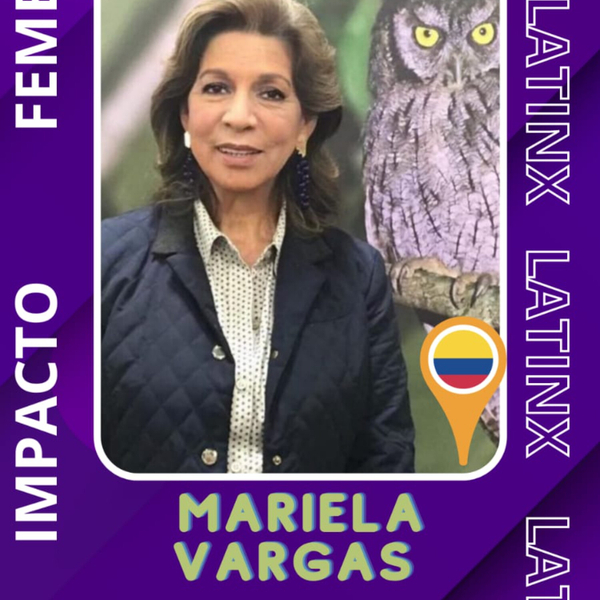 Impacto Femenino - Mariela Vargas artwork