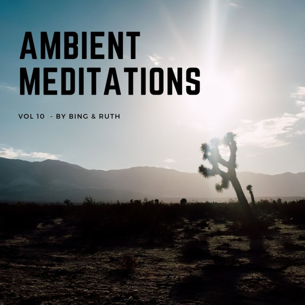 Magnetic Magazine Presents: Ambient Meditations Vol 10 - Bing & Ruth (David Moore) artwork