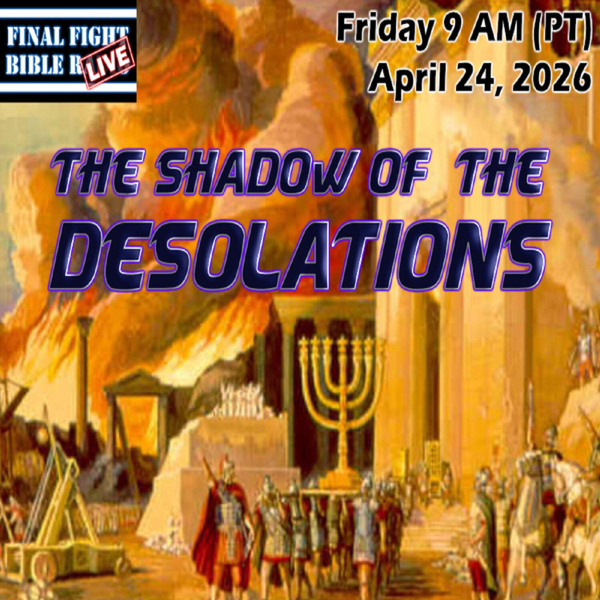 The Shadow of the Desolations artwork