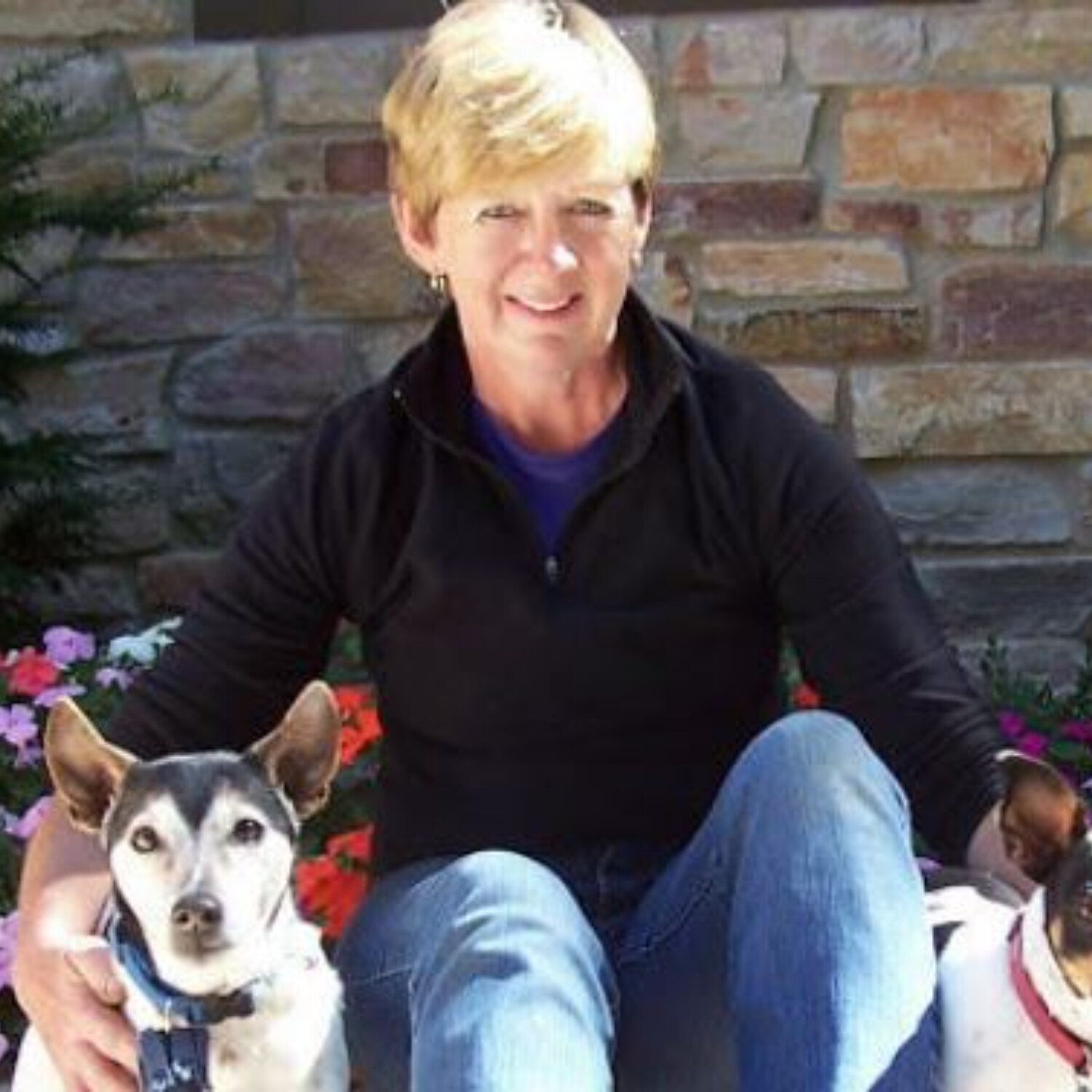 LET\'S TALK PETS - PATTY GIARRUSSO
