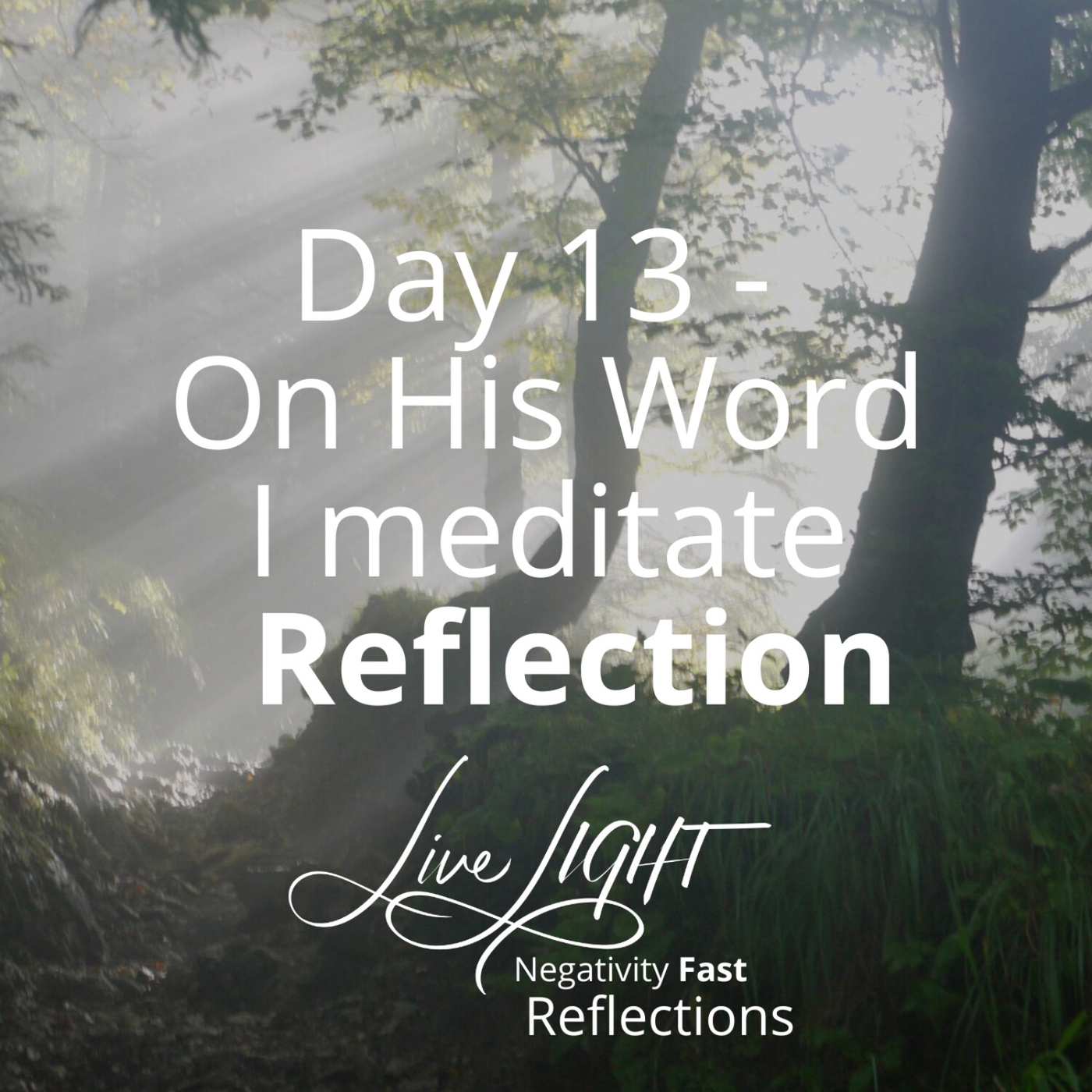 Day 13 - On His Word I meditate Reflection