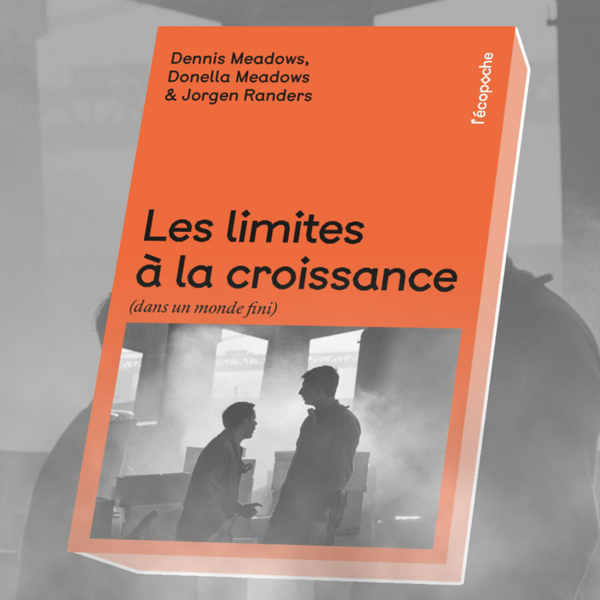 015 | Les limites à la Croissance (préface de Jean-Marc Jancovici) - D. Meadows, D. Meadows et J. Randers artwork