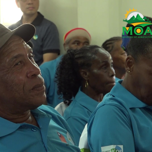 Graduation Ceremony for Farmer Training in Soufriere artwork