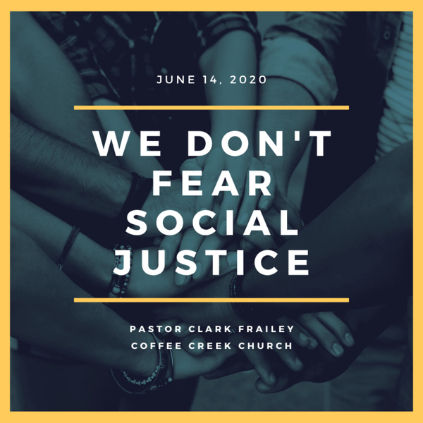 We Don't Fear Social Justice artwork
