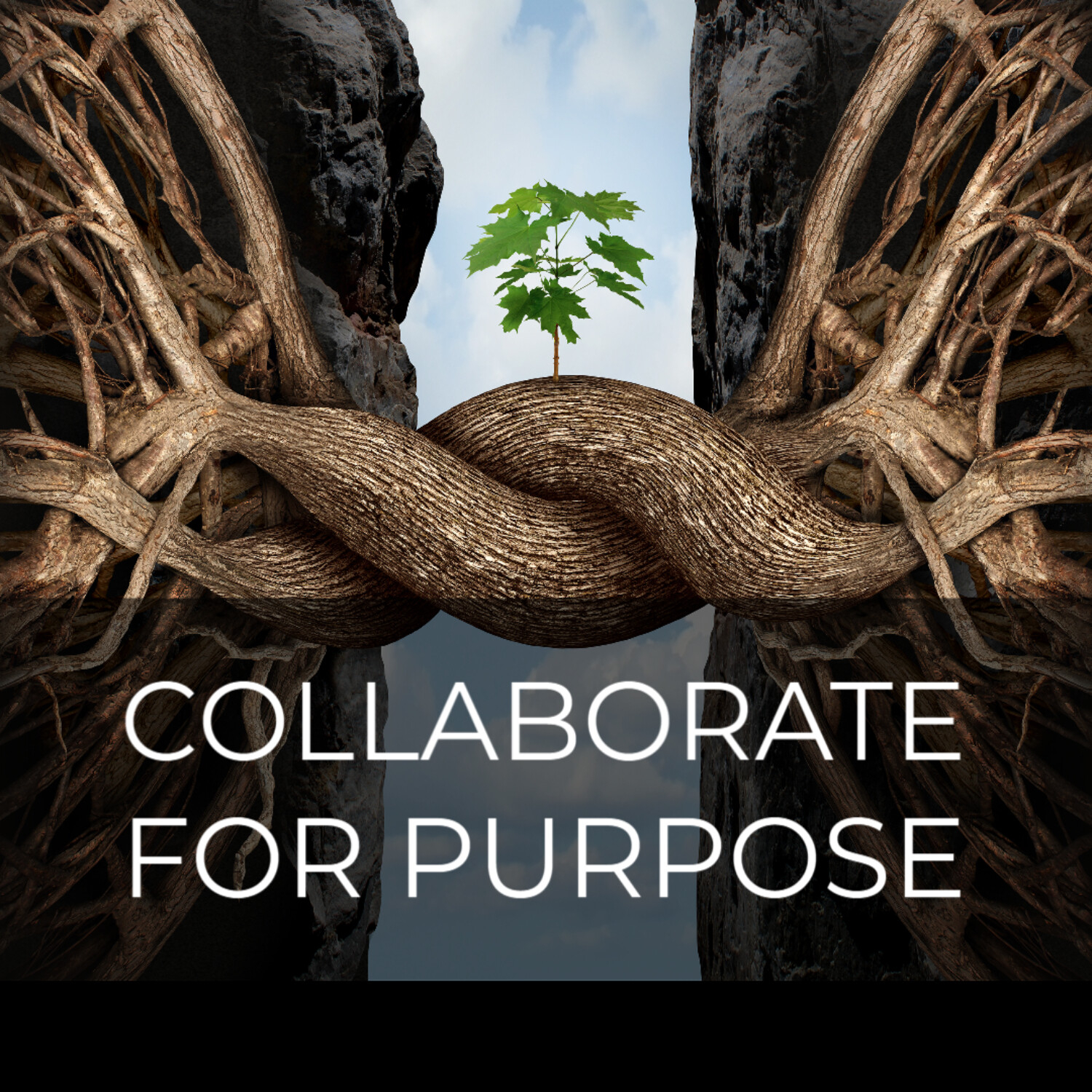 The Collaborate for Purpose Podcast