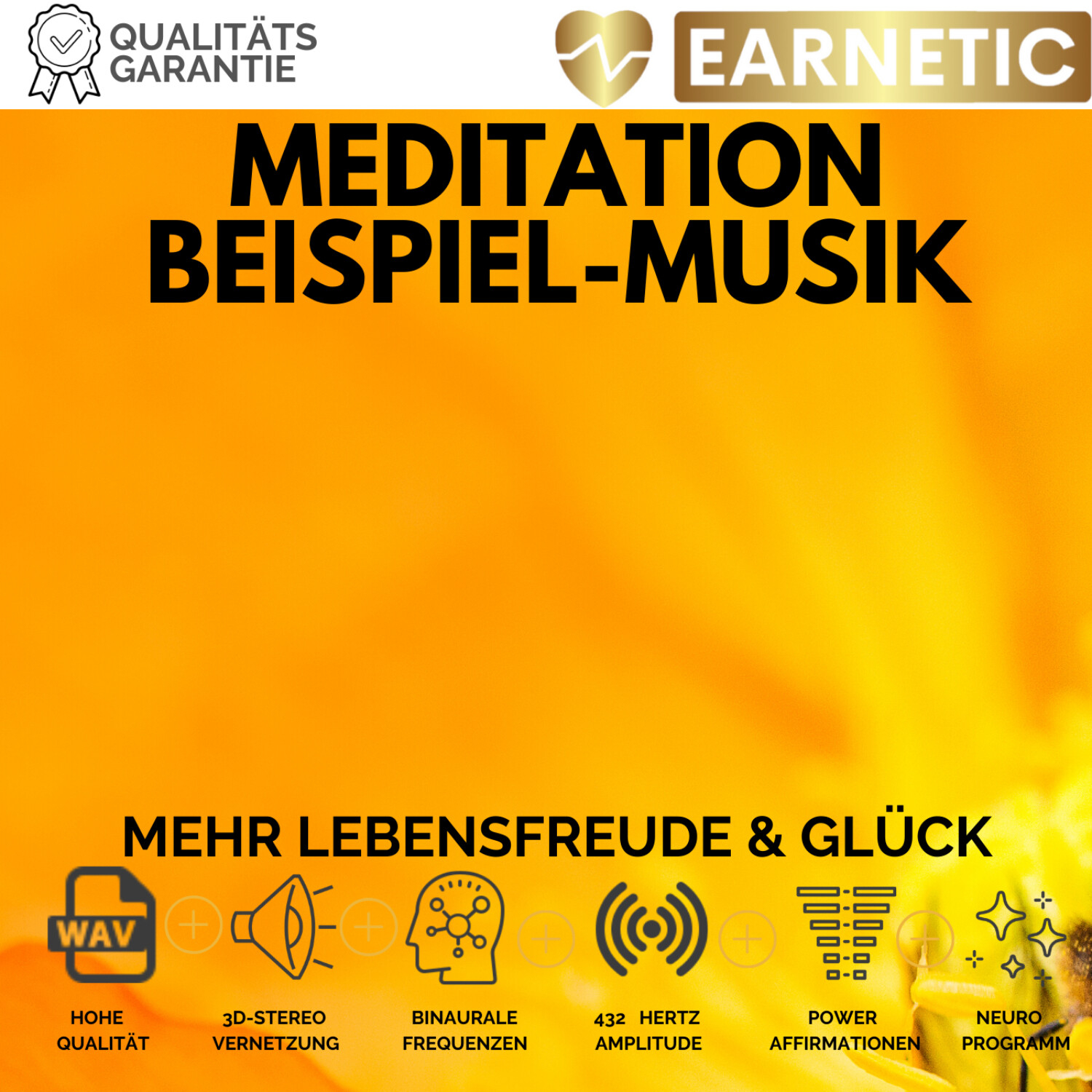 EARNETIC.de - Silent Subliminals & Neuromentalprogramme
