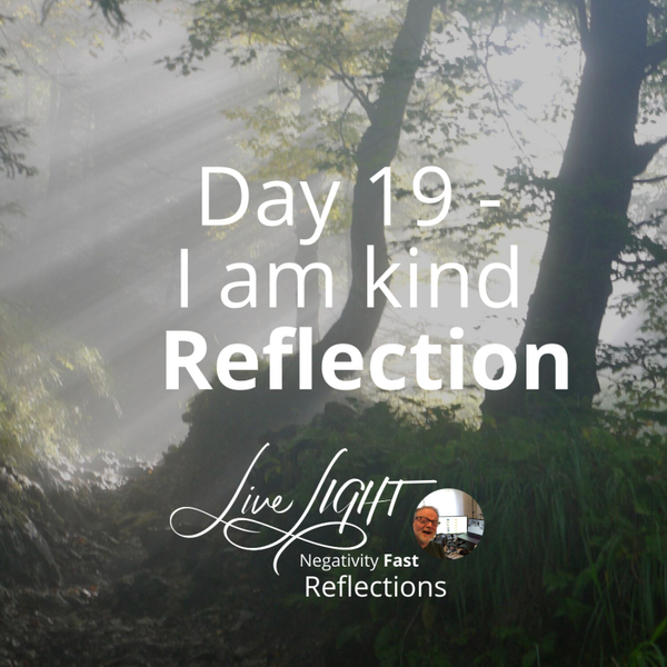 Negativity Fast Reflection - Day 19 - I Am Kind artwork