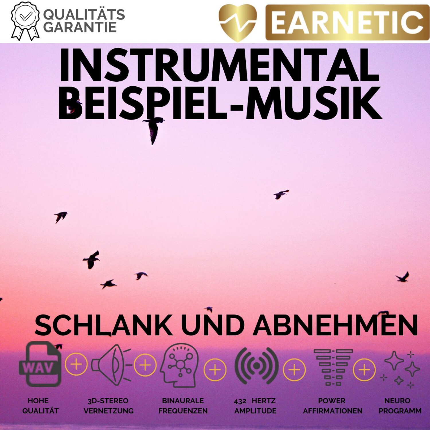 EARNETIC.de - Silent Subliminals & Neuromentalprogramme