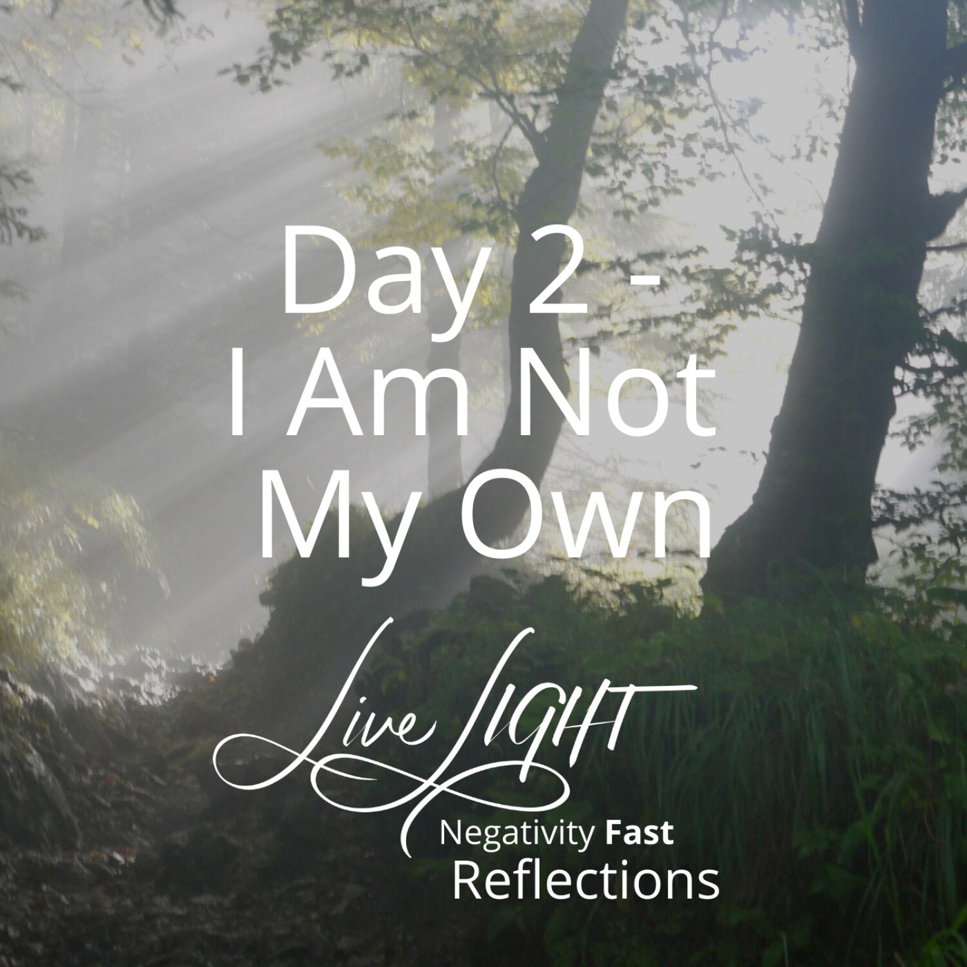 Negativity Fast Reflection - Day 2 - I Am Not My Own