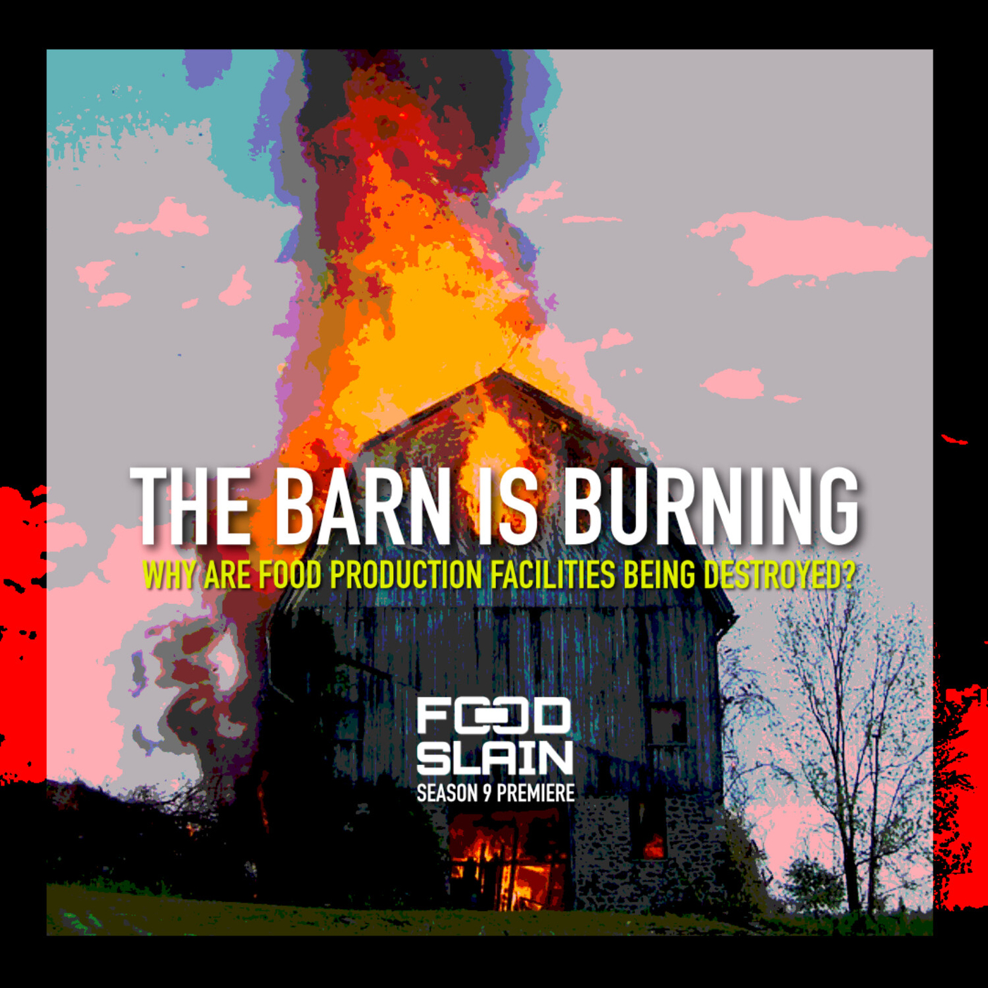 The Barn Is Burning : Why Are Food Production Facilities Being Destroyed? - Food Slain