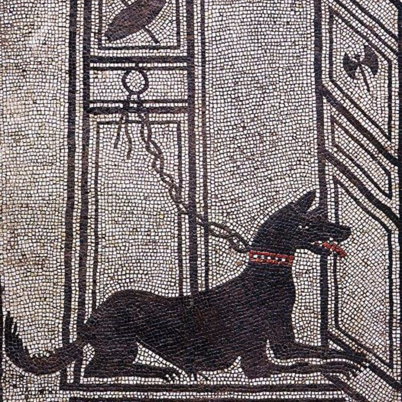 Dogs in the Ancient World World History Encyclopedia Podcast.co