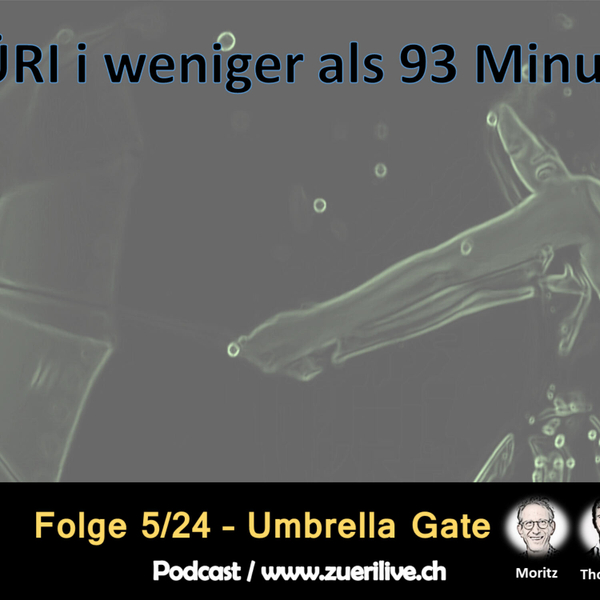 Umbrella Gate  -  5/24  artwork