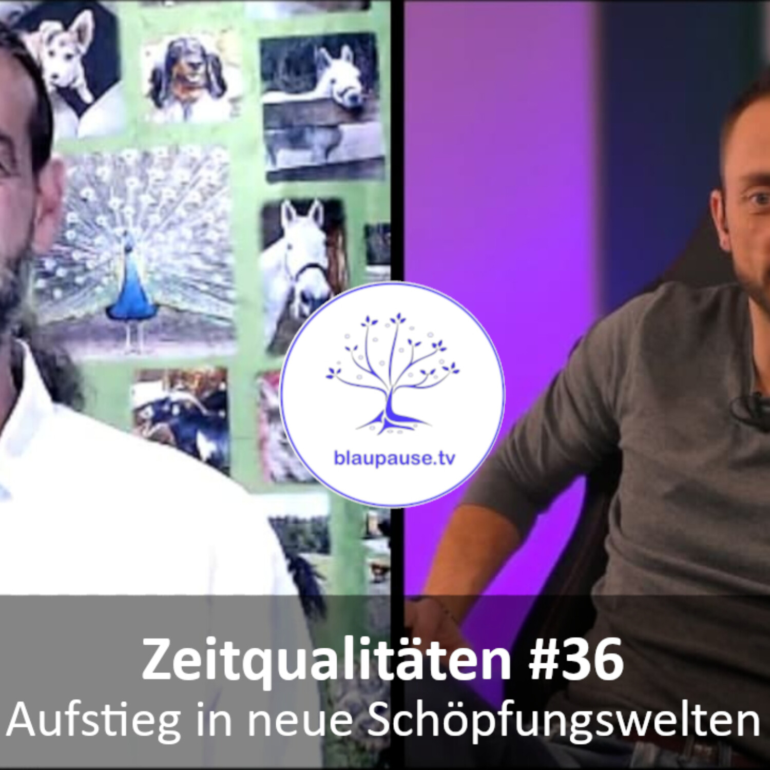blaupause.tv - Informationen über Grenzthemen Out of the Box