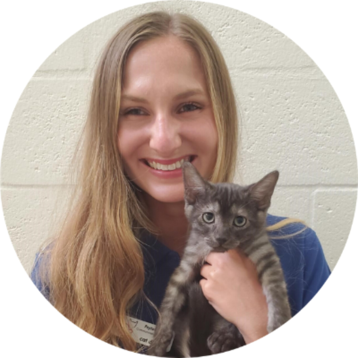 WHAT TO DO WHEN YOU FIND A KITTEN - PAYTON DAVIS, COMMUNICATIONS SPECIALIST