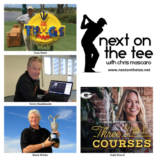 Generating more power after 50, Zach Johnson's Captain's Picks, Gabi Powel & Three Courses, & A Brilliant Video Comment by Padraig Harrington... artwork