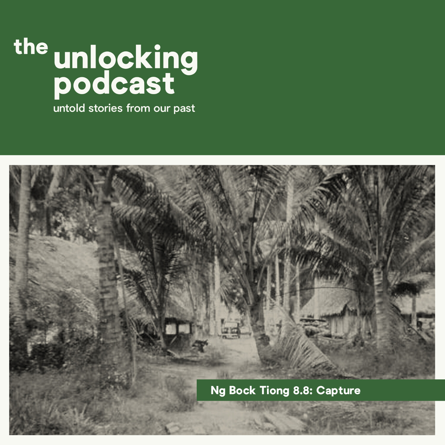The Unlocking Podcast: Untold Stories From Our Past