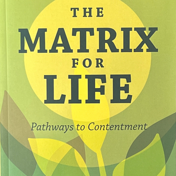 The Matrix for Life: Pathways to contentment artwork