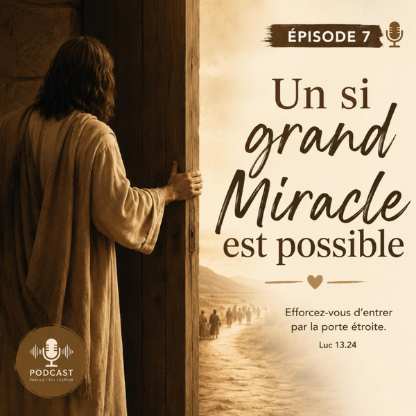 Un si grand miracle est possible artwork