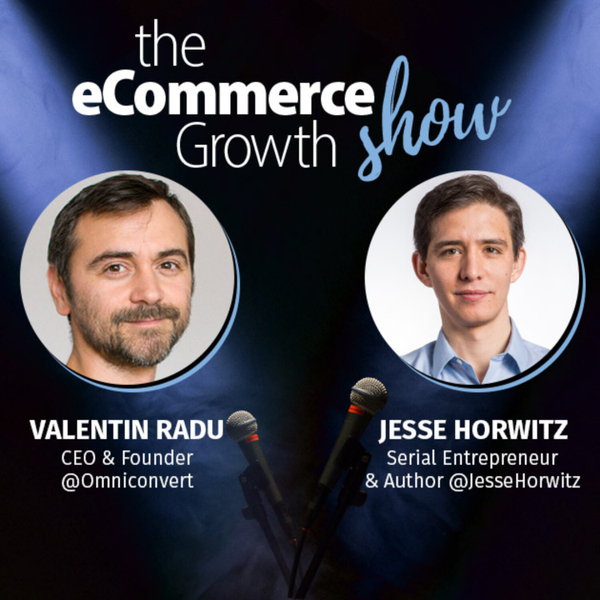 Jesse Horwitz: Integrate direct-to-consumer ("D2C") business at home from your couch artwork