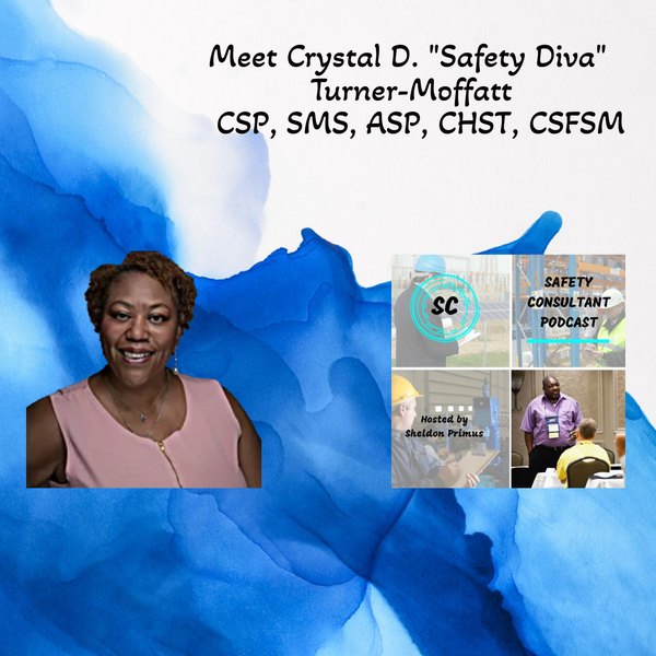 Crystal Turner-Moffatt, The Safety Diva (TM) artwork