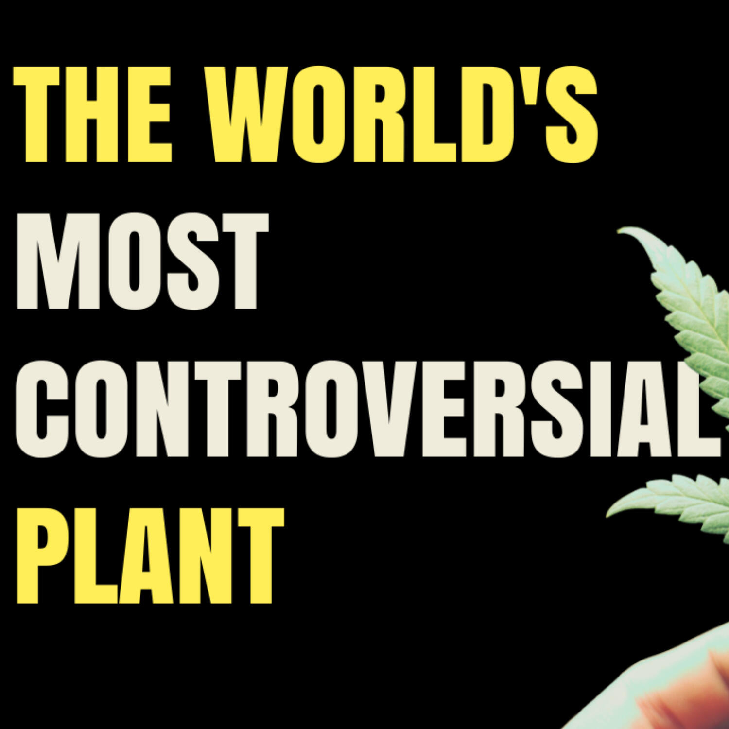 The Fall and Rise of Cannabis Sativa (Hemp)