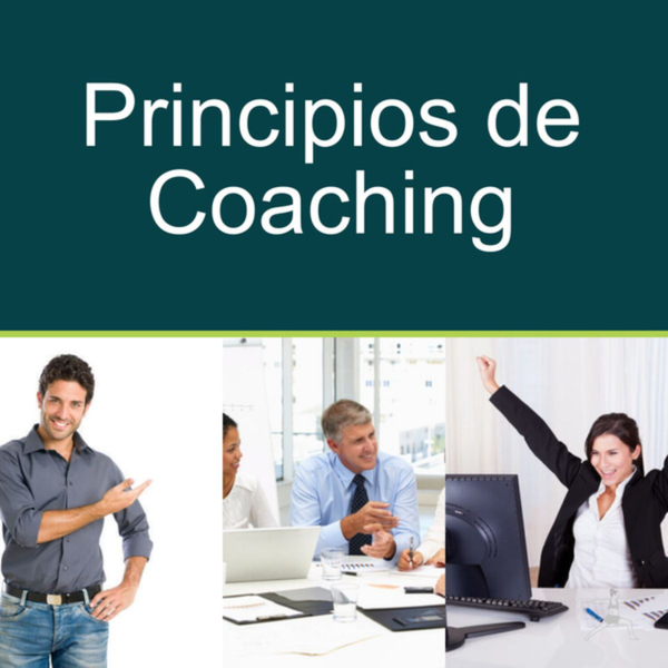 Principios de Coaching artwork
