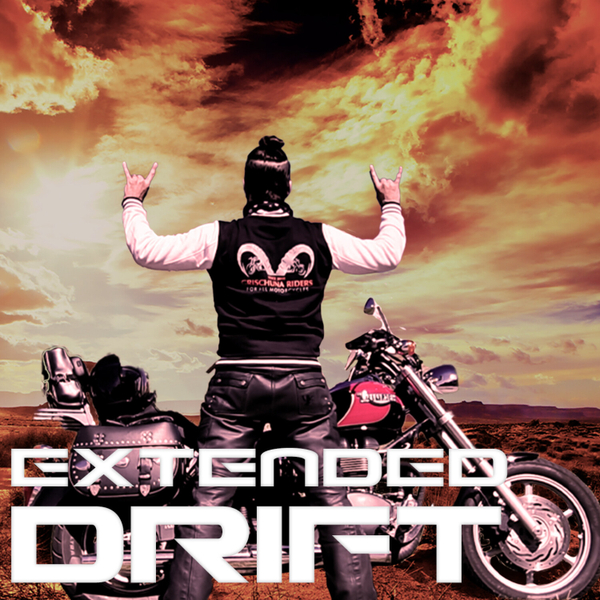 The Extended Drift Praktikanten Special artwork