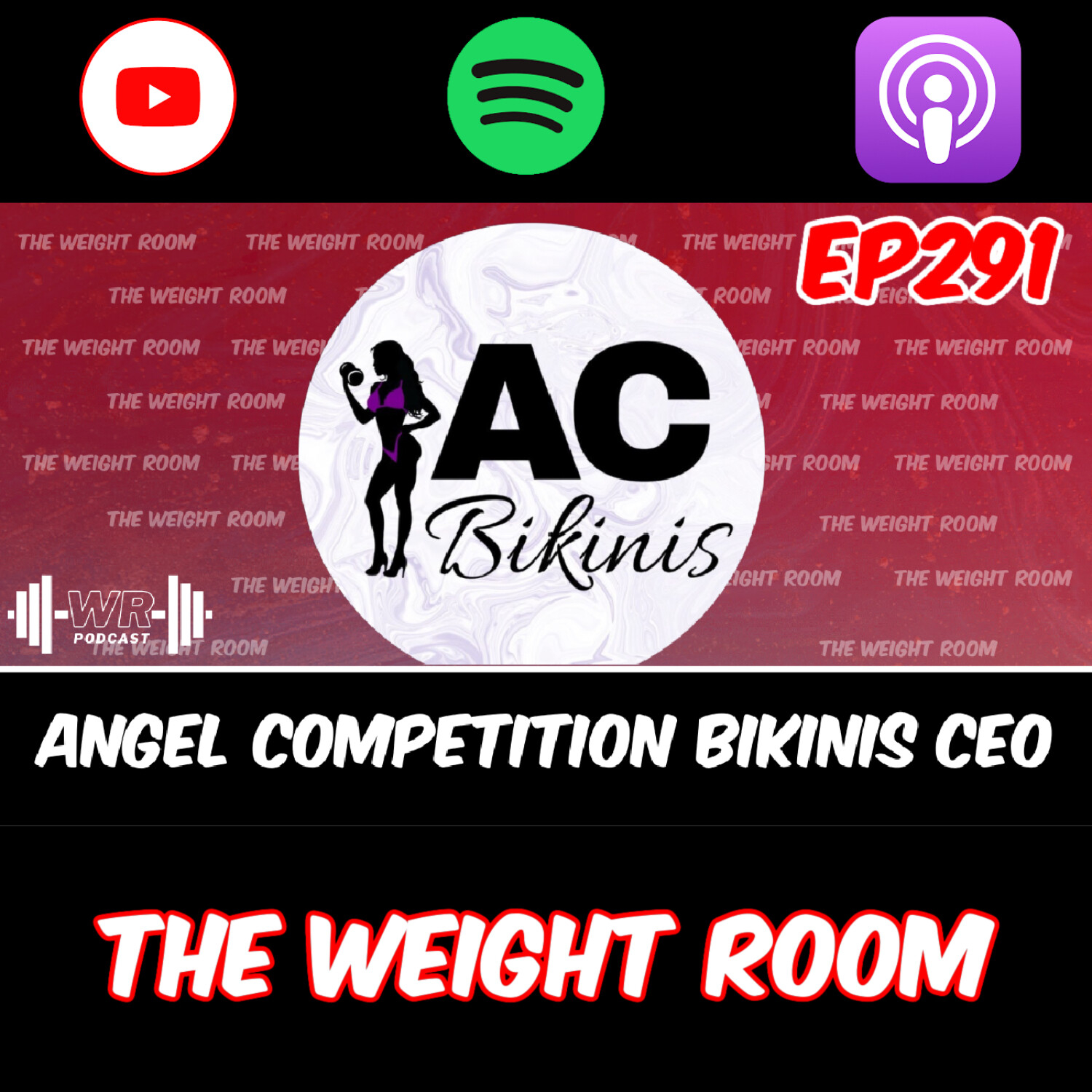 cover of episode EP291: Angel Competition Bikinis CEO, Karah Jones