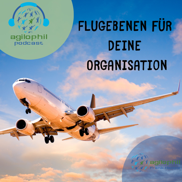 Flight Levels in Organisationen artwork