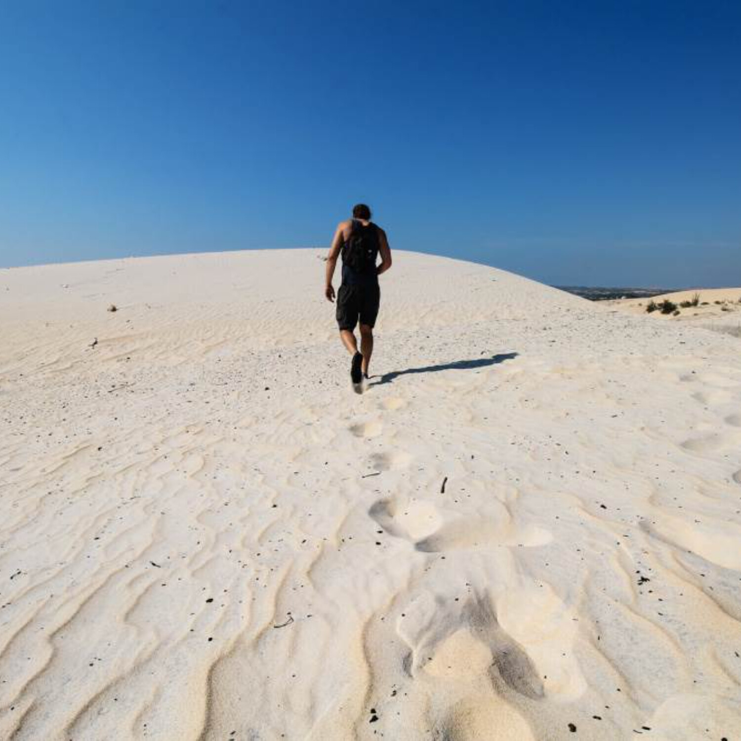 Proměněni Božím milosrdenstvím hlásejme milosrdenství