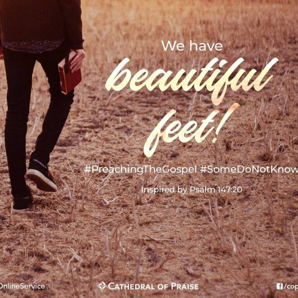 Psalm 147:20- We Have Beautiful Feet artwork