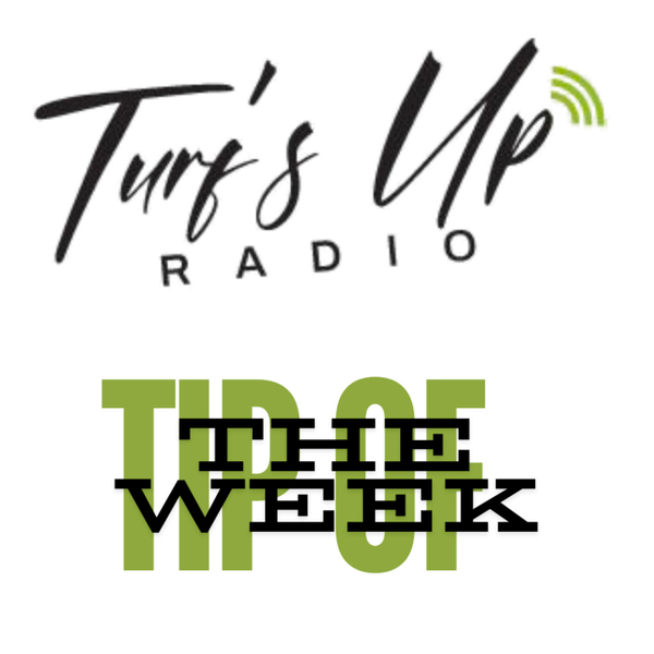 Turf's Up Radio | Tip of the Week artwork