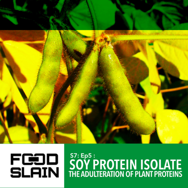 Soy Protein Isolate and the Adulteration of Plant Proteins artwork