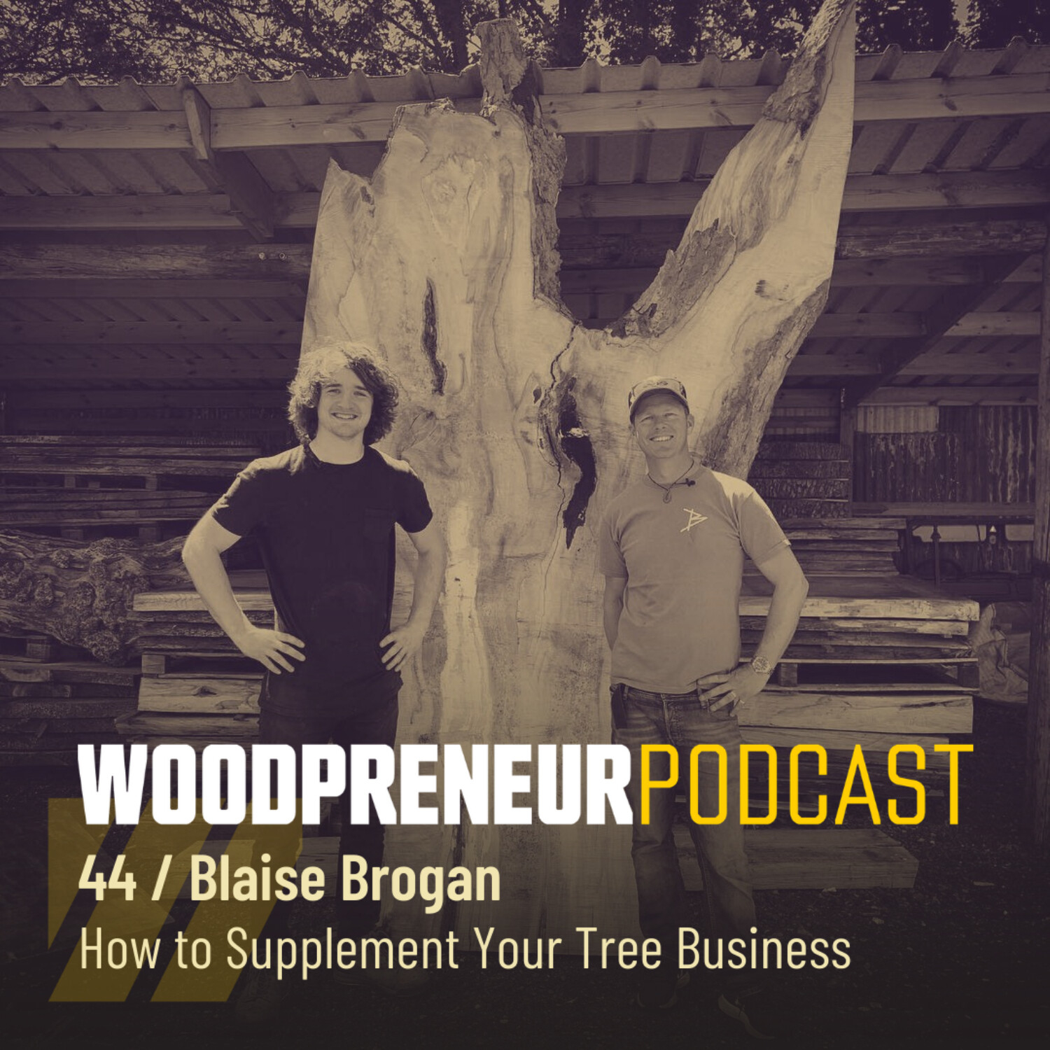 Blaise Brogan: How to Supplement Your Tree Business