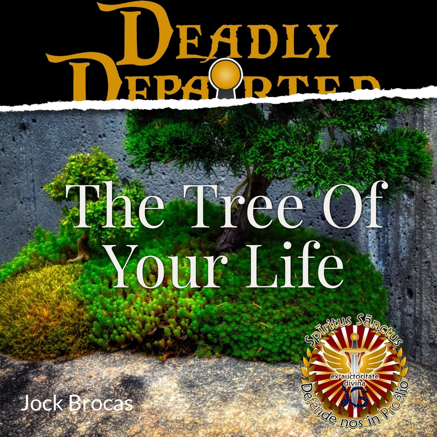 The Tree of Your Life