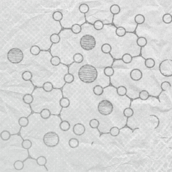 3. Formación doctoral artwork