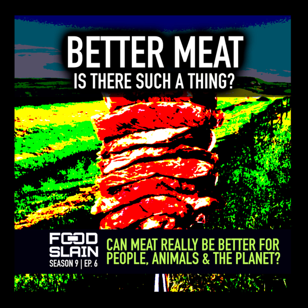 Better Meat. Is there such a thing? artwork
