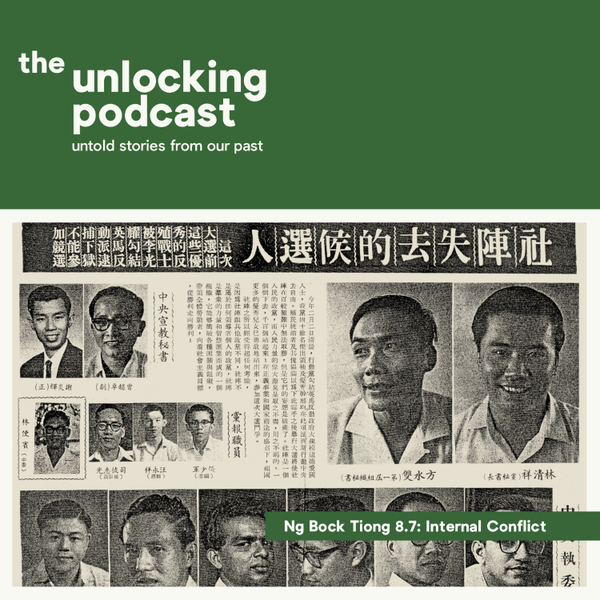 Ng Bock Tiong Part 5 - Internal Conflict artwork