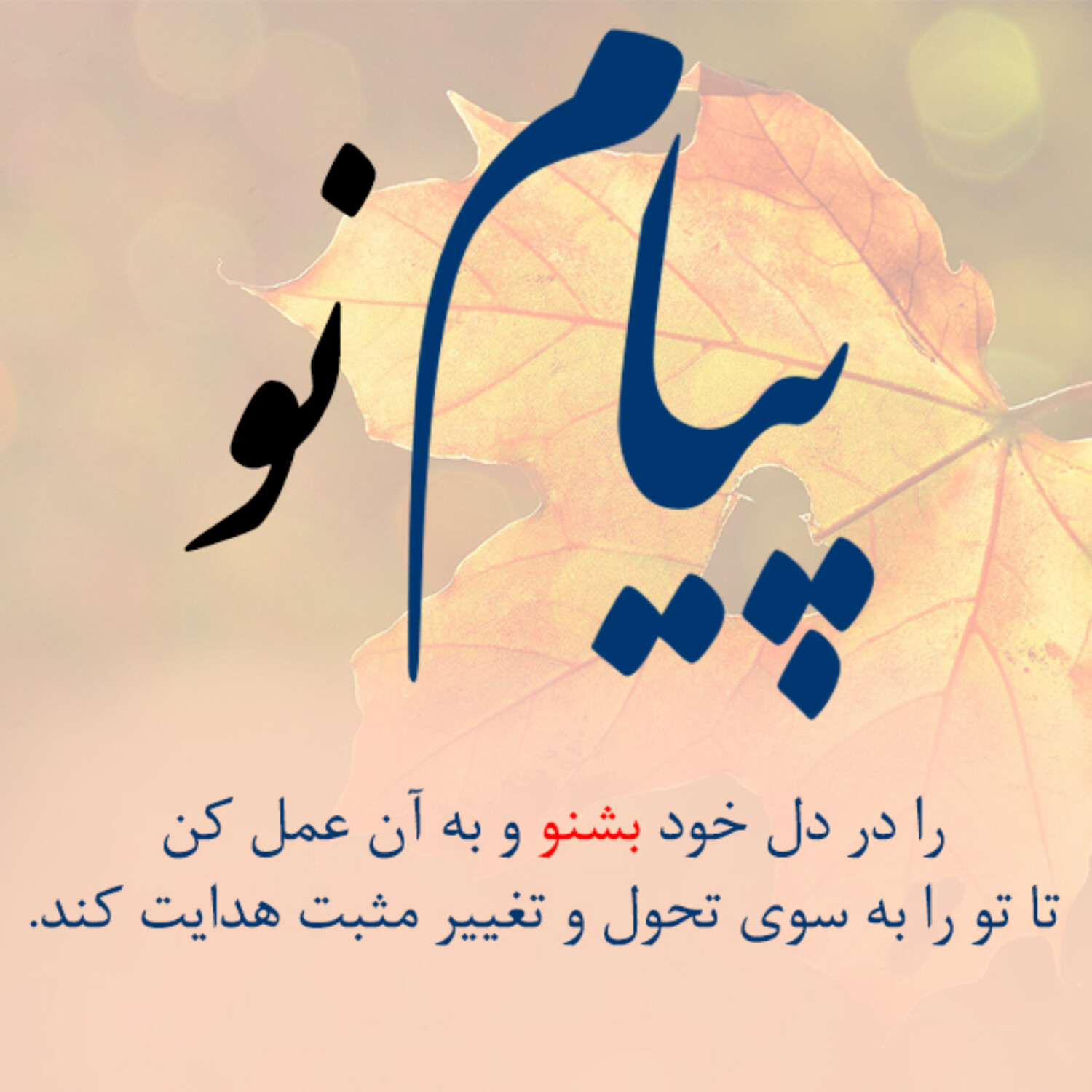 POB-Payam Nu-012
