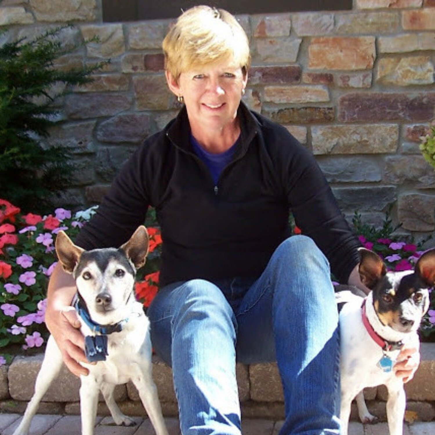 LET\'S TALK PETS - PATTY GIARRUSSO