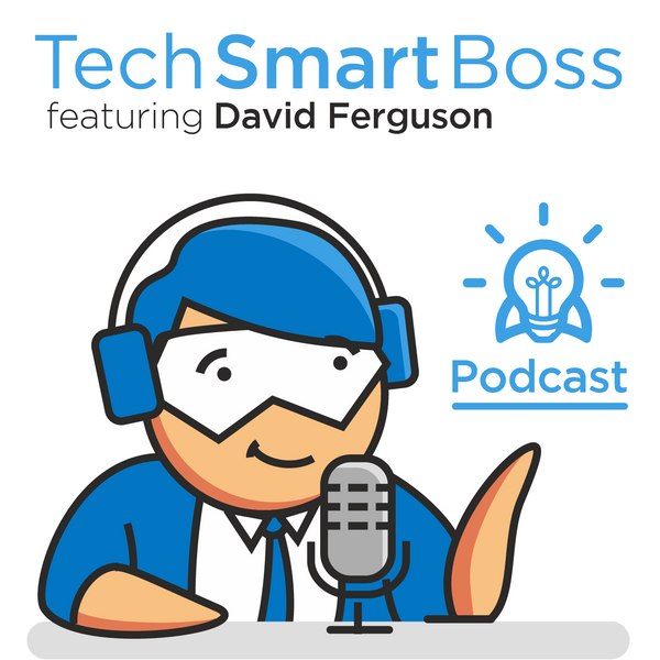 Episode 131: 5 Step Process To Being A Customer Centric Organization (The Tech Smart Boss Way) artwork