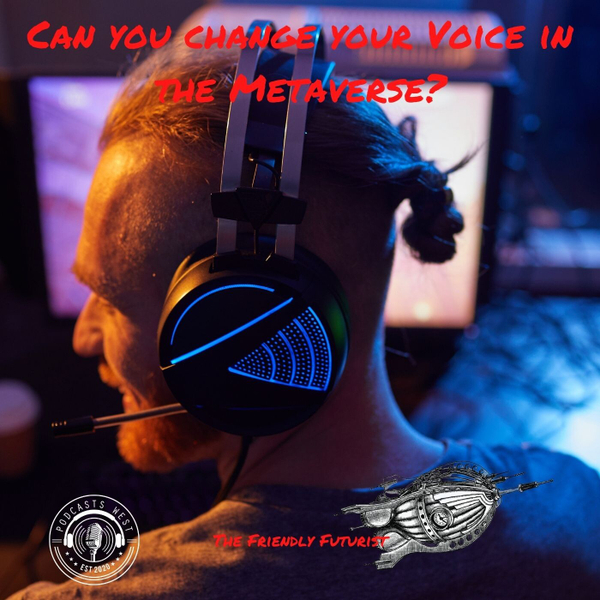 Can You Change Your Voice in the Metaverse? artwork