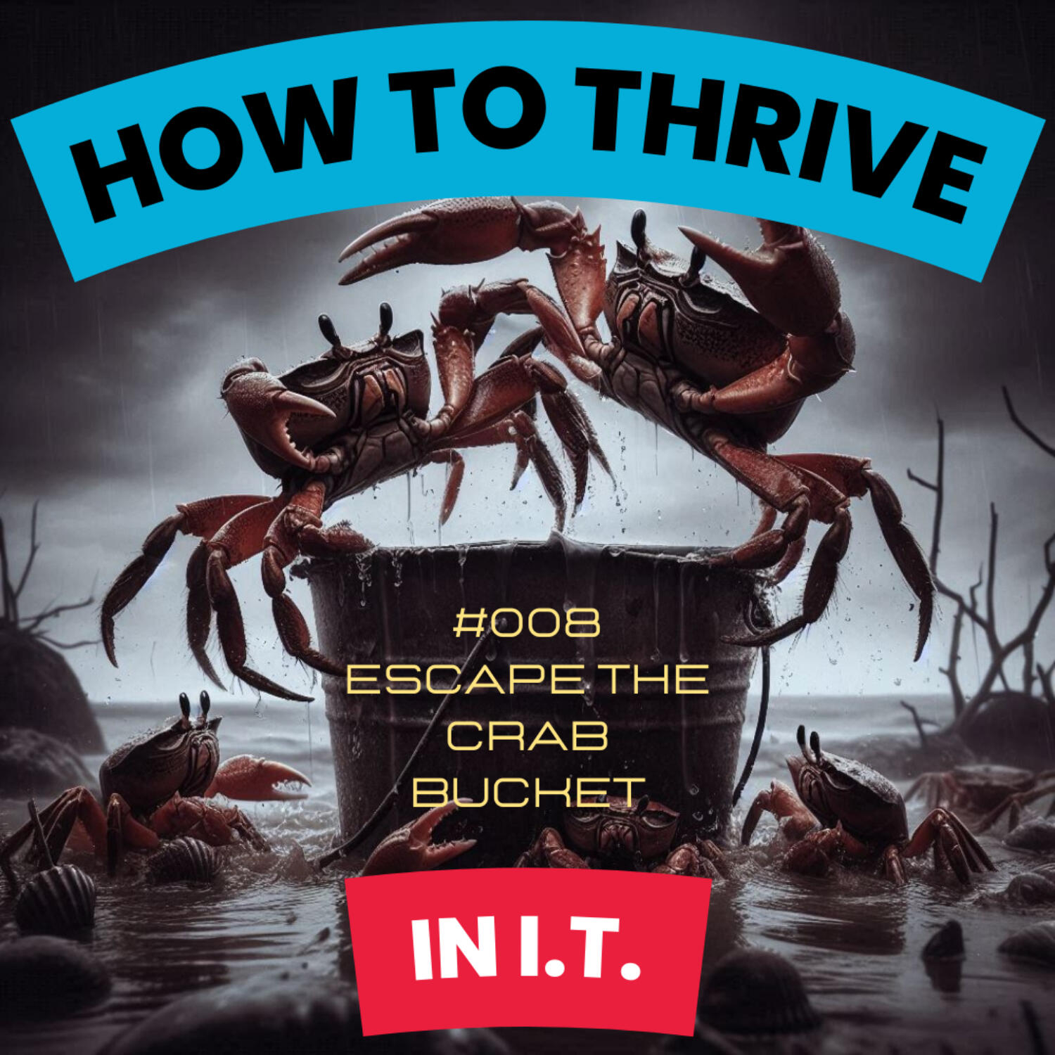 How To Thrive in IT