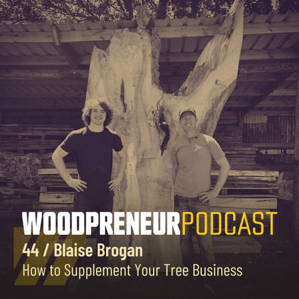 Blaise Brogan: How to Supplement Your Tree Business artwork