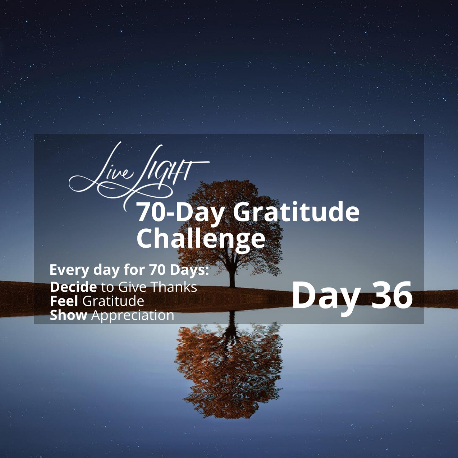 Gratitude Challenge Day 36 - Experiencing Gratitude
